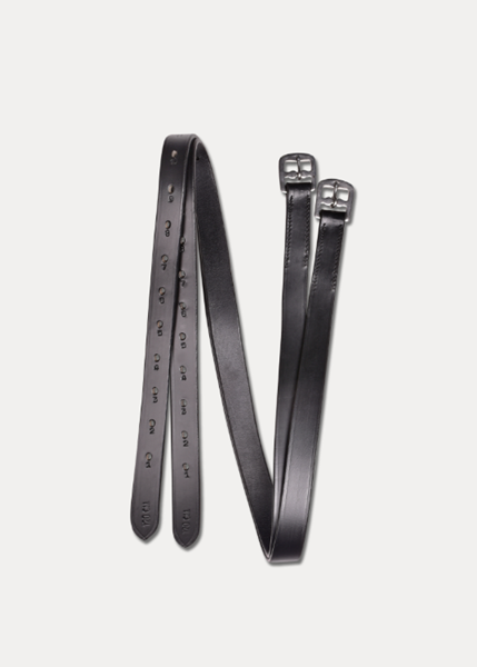 ACCIONES ECONOMIC WALDHAUSEN NEGRAS